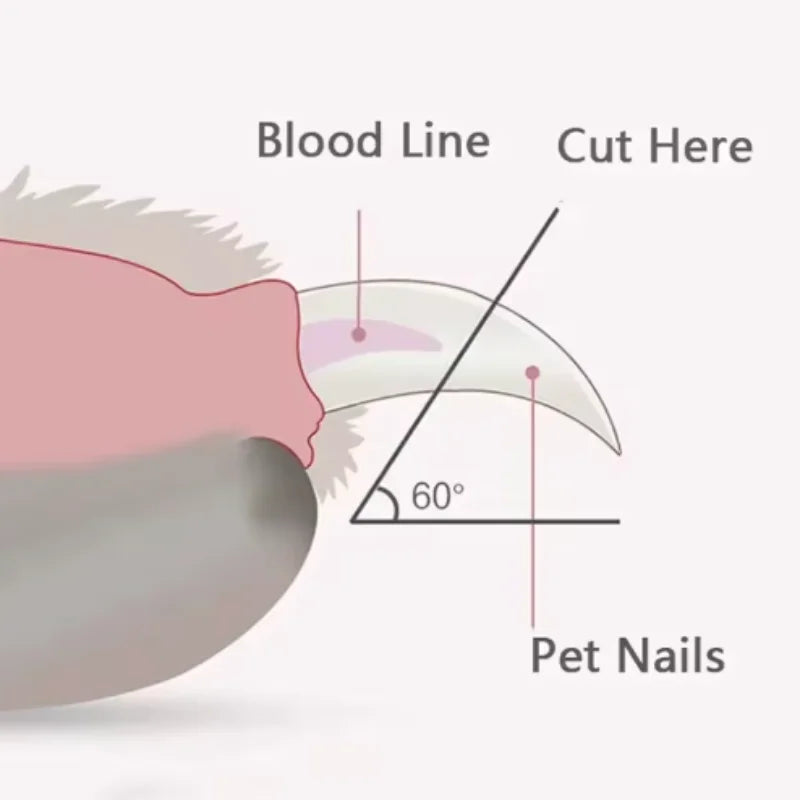 Professional Pet Nail Clippers