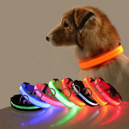 LED Dog Collar Light Anti-Lost Night Glow USB/Battery