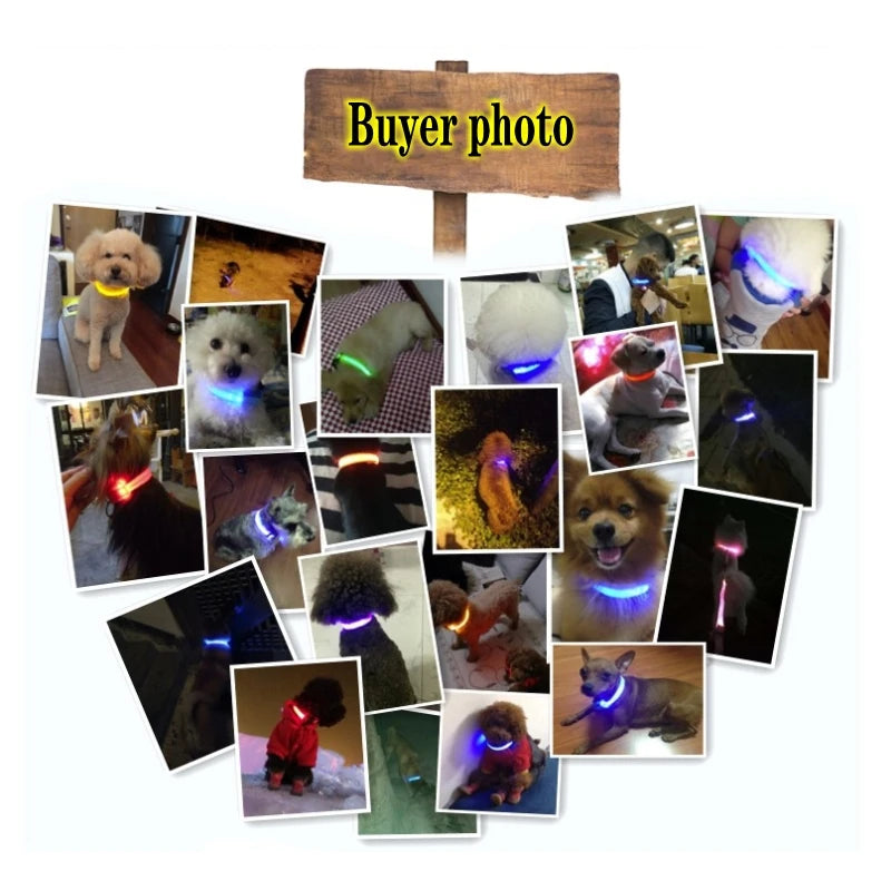 LED Dog Collar Light Anti-Lost Night Glow USB/Battery