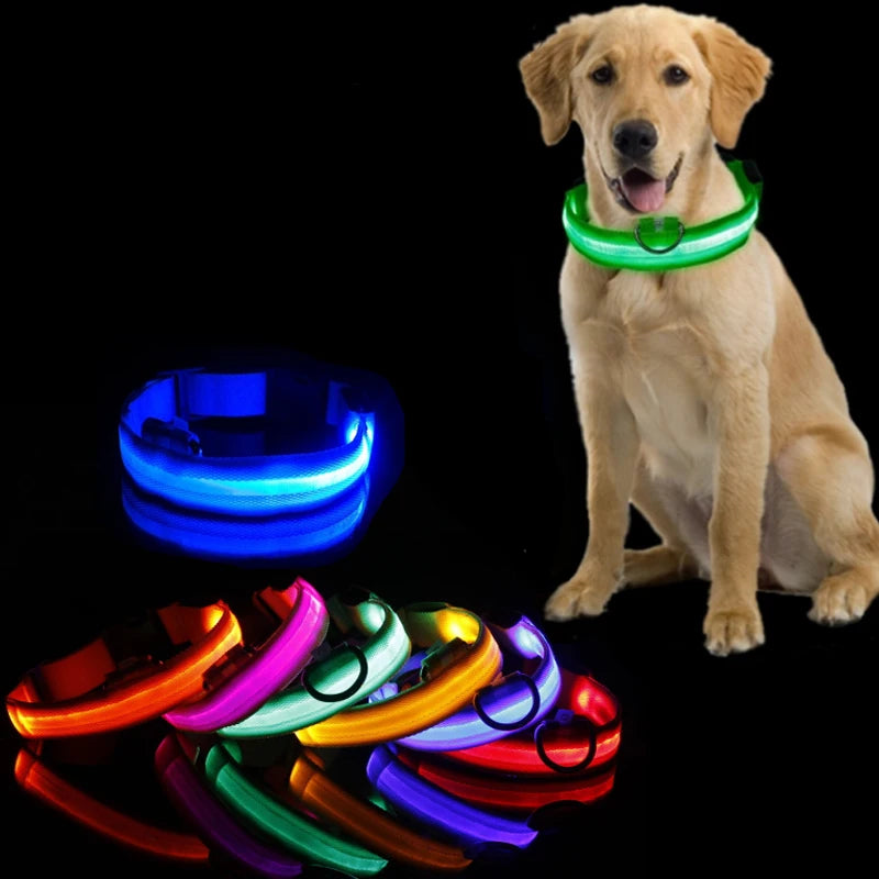 LED Dog Collar Light Anti-Lost Night Glow USB/Battery