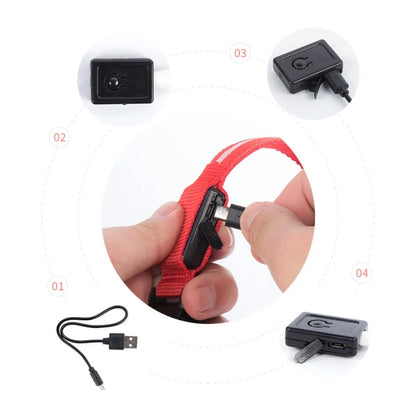 LED Dog Collar Light Anti-Lost Night Glow USB/Battery