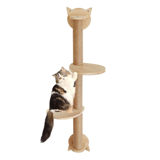 Cat Scratch Tower