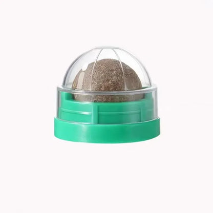 Catnip Cat Wall Stick-on Ball Toy