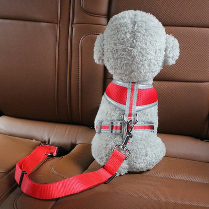 New Dog Car Belt Cat