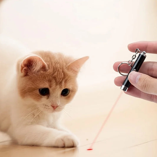Cat Laser Pointer Toy