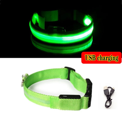 LED Dog Collar Light Anti-Lost Night Glow USB/Battery