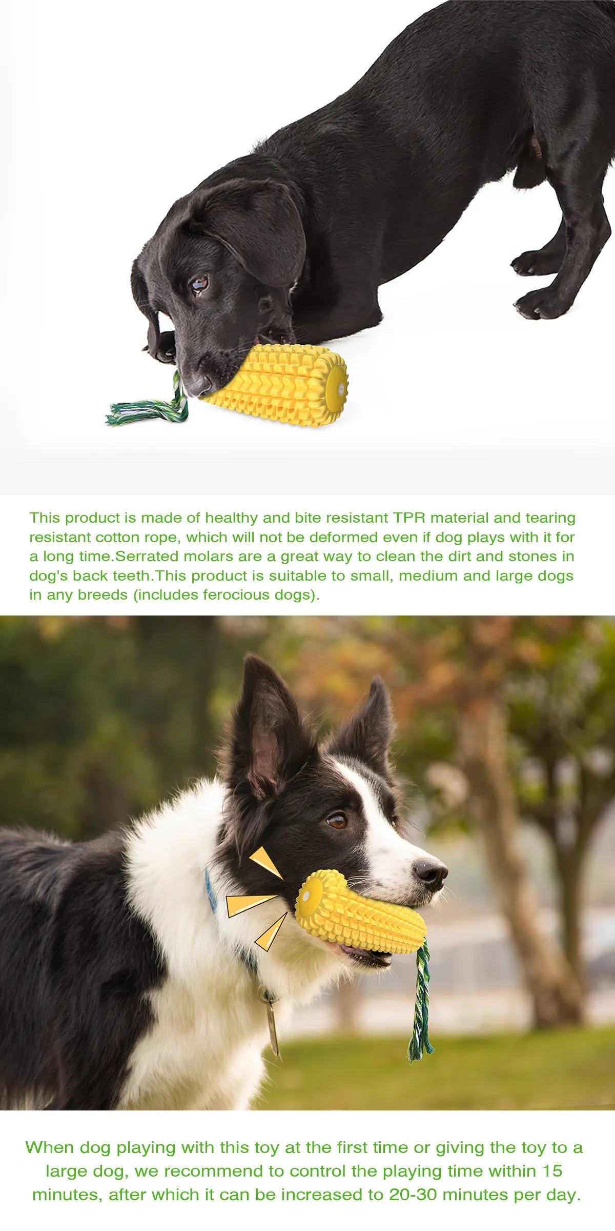 Dog Chew Toys, Tough Durable