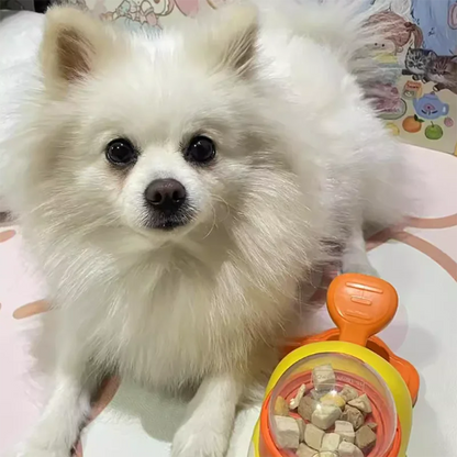 Interactive Cat Treat Dispenser Toy